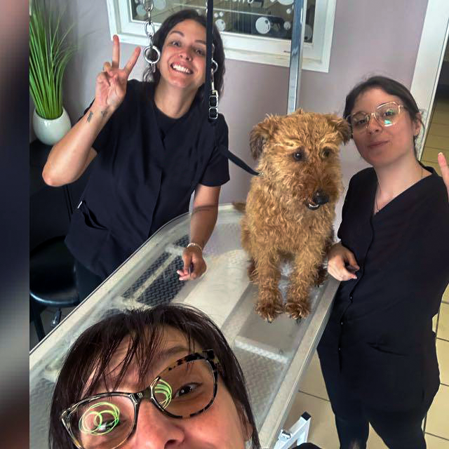 Studenti del corso di toelettatura